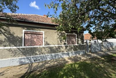 Casă de vânzare in Tisa Nouă, teren generos - 1