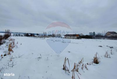 Teren de 9574 mp, în Iacobeni - 5