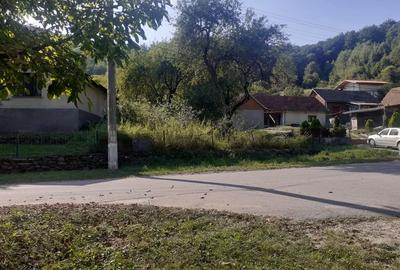 Teren de 6470 mp, în Nădrag - 4