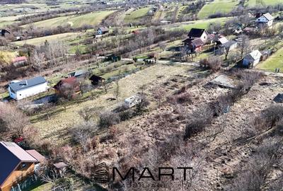 Teren Construcții intravilan de 1110 mp, în Calea Dumbrăvii - 2