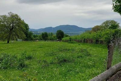Teren de 3352 mp, în Alexandru cel Bun