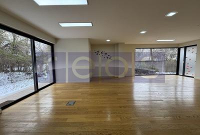 PRIMAVERII | APARTAMENT OFFICE SAU COMERCIAL |  207 MP UTILI | TERASA | - 10