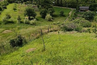 Teren Construcții intravilan de 1500 mp, în Vorovești - 4