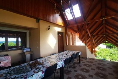 Vand un mic castel D+P+M , in zona Corunca, unde se poate locui gratis, - 4