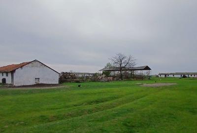 Teren de 100800 mp, în Sud - 3