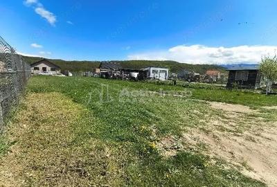 Teren de 784 mp, în Periferie