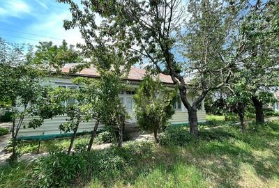 Casă cu Teren 1925 Mp în Gara Berheci