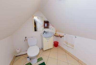 Apartament cu 4 camere decomandat, mobilat în Independenței - 14