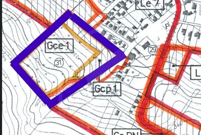 Teren intravilan Apahida, destinatie speciala - 4
