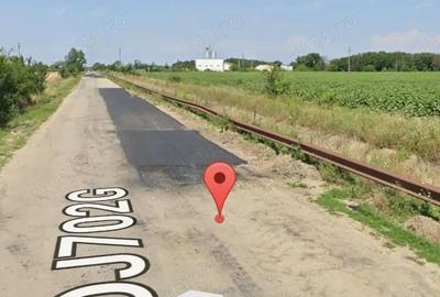 Teren de 55000 mp, în Căteasca - 6