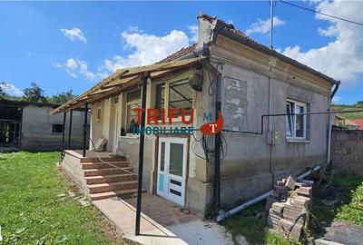 Casă cu 2 camere cu Teren 1534 Mp în Cricău - 11