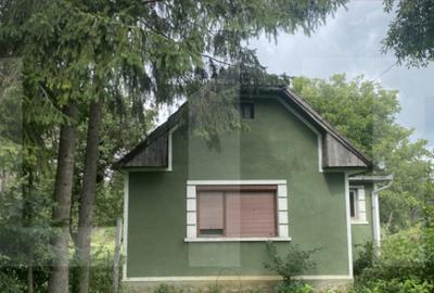 Casa tradi?ionala cu teren generos Belin