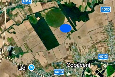 Teren Construcții intravilan de 39000 mp, în Copăceni - 3