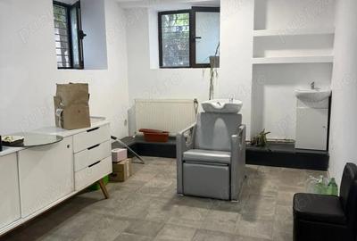 Spațiu comercial, de 110 mp, în Take Ionescu - 1