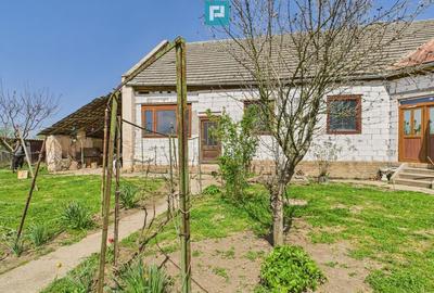 Casa cu Gradina Mare la 30 km de Timi?oara - 10