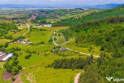 Teren de 7400 mp, în Tărlungeni - 2