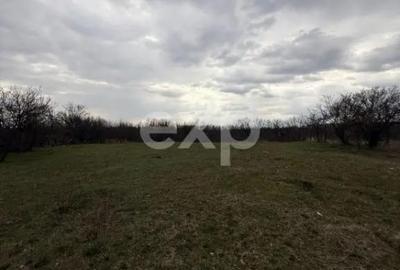 Teren în Drăganu - 3