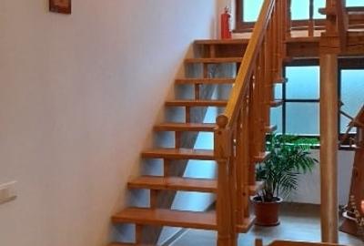 Vilă unică în Centrul Sucevei - 4