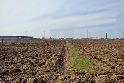 Spațiu comercial, în Moara Vlăsiei - 5