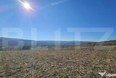 Teren de 17000 mp, în Almașu Mic - 2