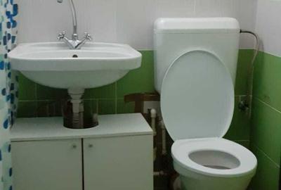 Apartament cu 2 camere decomandat în Valea Ialomiței - 7