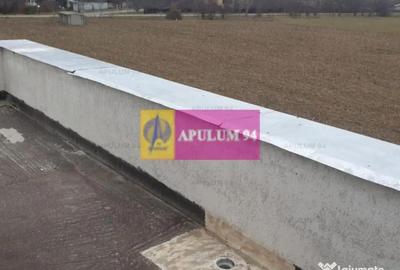Casă cu 4 camere cu Teren 450 Mp în Ordoreanu - 6