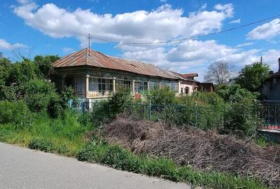 Casă cu Teren 2300 Mp în Tântava - 3