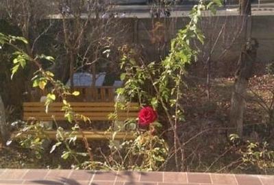 Apartament cu 2 camere nedecomandat, mobilat în Tractorul - 1