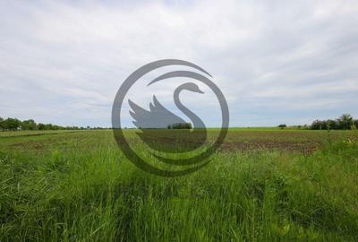 Teren de vanzare in Manesti, Prahova | 18.000 mp | Deschi...