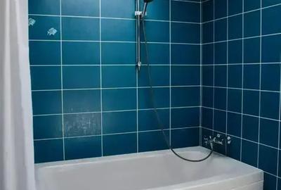 Vila Individuala 6 camere - Parc Bazilescu - 20