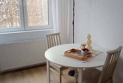 Apartament cu 2 camere decomandat în Dacia - 8