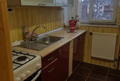 Apartament doua camere, etaj 3, mobilat si utilat, CT, langa biserica Precista - 6