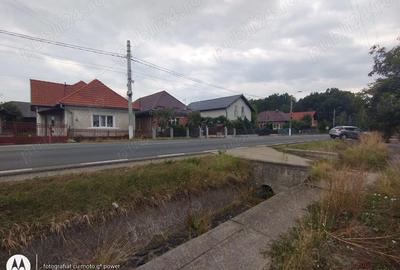 Teren de 1617 mp, în Lăpuș - 5