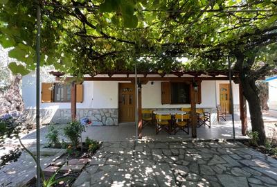 Casă individuală cu 13 camere cu Teren 1070 Mp în Herăstrău - 2