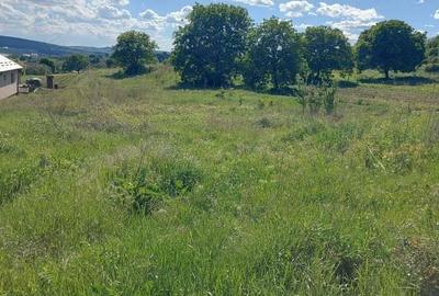 Teren intravilan, in Criseni - 1