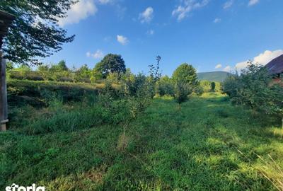 Teren de 1091 mp, în Dacia - 2