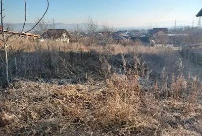 Teren de 1400 mp, în Cetate - 2