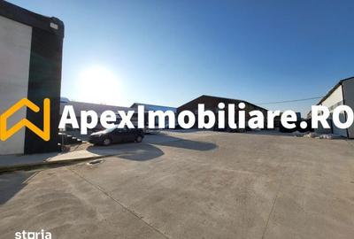 Spațiu comercial, de 1,800 mp, în Xenia - 1