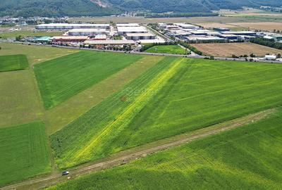 Teren intravilan - 5