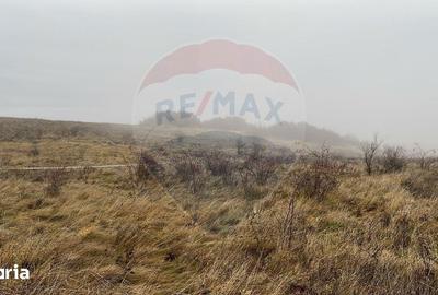 Teren de 623 mp, în Baciu - 6