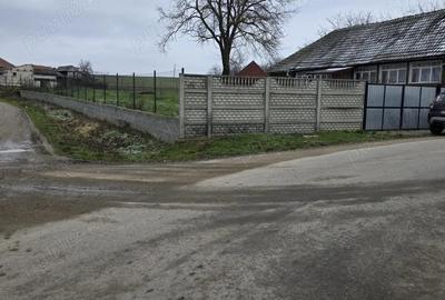 Casă cu 2 camere cu Teren 110 Mp în Pachia - 4
