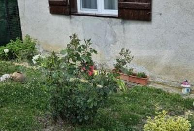 Casă cu 4 camere cu Teren 700 Mp în Viile Satu Mare - 3