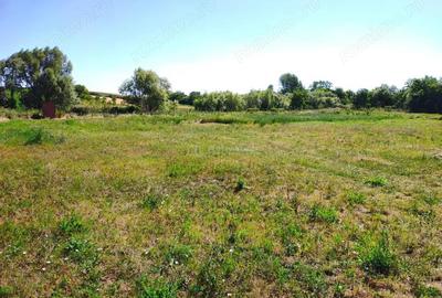 Teren de 18247 mp, în Mișca - 4