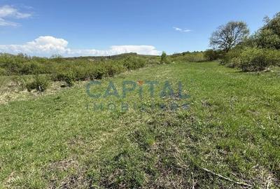 Teren intravilan 2200mp, Front 16m, sat. Padureni, Chinteni - 3