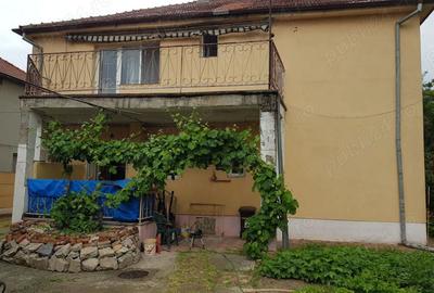 Casa mare de vanzare in Calea Sagului - 3