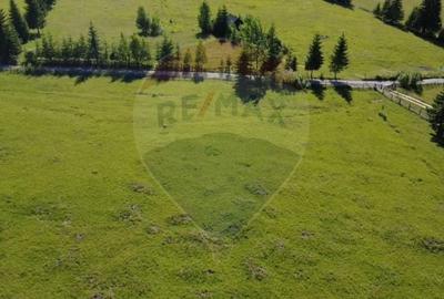 Teren Construcții intravilan de 19370 mp, în Neagra Șarului - 9