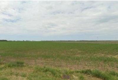 Teren extravilan Pogoanele, ID: R2586845 - 7