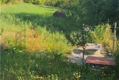 Teren intravilan de 1717 mp, în Beceni - 2