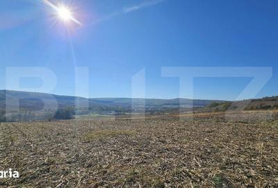 Teren de 17000 mp, în Pestișu Mic