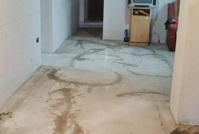 Casă cu 4 camere în Boțârlău - 10